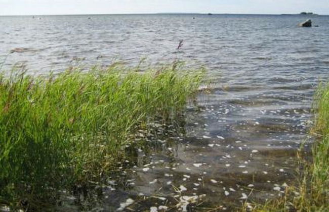 Soukonranta - Foto 26