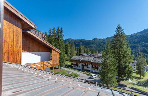 Petit Arnica - Foto 21