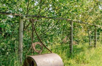 Alltybrain Farm Cottages and B&B - Foto 93