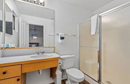 2 MI to USF + Long Term Stays allowed + Gym + Pool - Foto 28