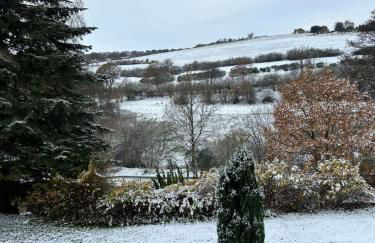 Ferienwohnung Morgenblüte - Foto 26
