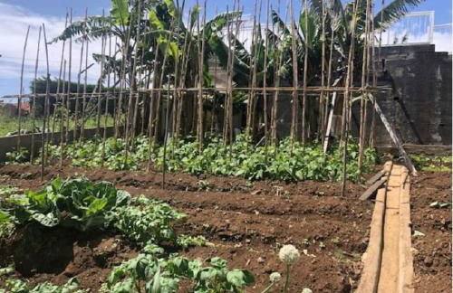 Crystal House - Foto 37