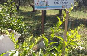 Agriturismo Santa Maria - Foto 46