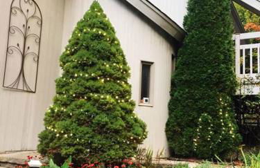 NatureGlow Residence Stylish Contemporary Home - Foto 32