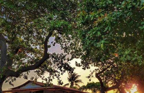 Sítio SPA Céu De Verdade , Praia de Barra Nova , Ceará - Foto 4
