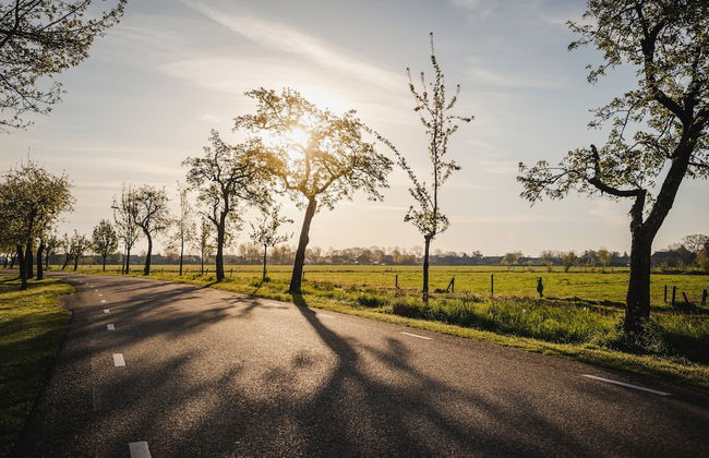 Holiday Home in Ruinerwold With Garden - Photo 14