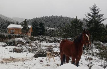 The Farmhouse - Photo 39