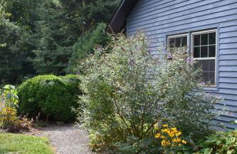 Restored1850s log cabin, with gazebo and gardens! 1 mile to downtown Weaverville - Foto 40