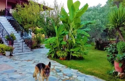 Cottage House - Foto 14