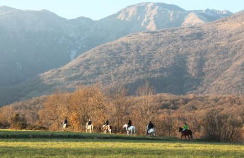 Agriturismo al Ranch - Foto 24