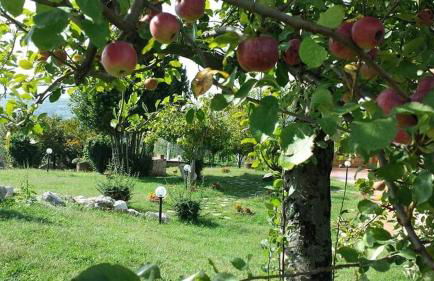 I Giardini Di Eidos - Foto 16