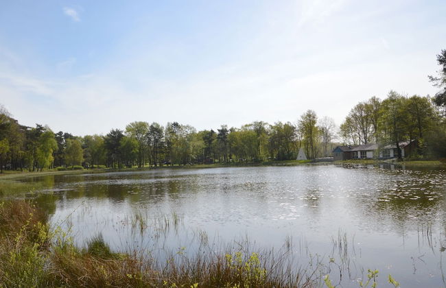 Holiday Home in North Limburg - Photo 34