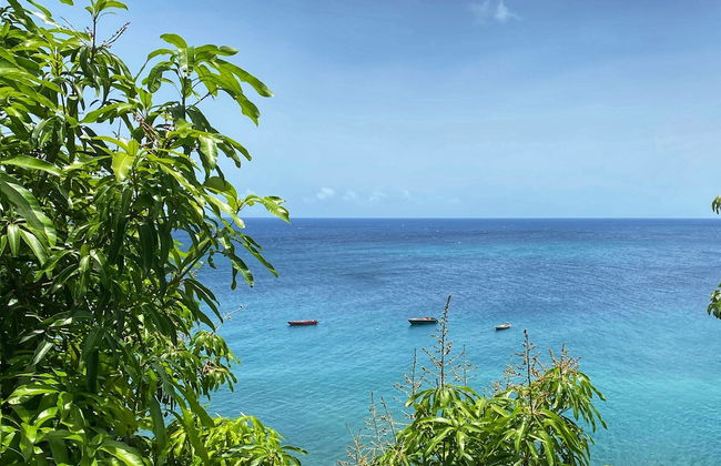 Sunset Reef St.Kitts - Foto 21