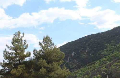 Panos modern country house - Photo 5