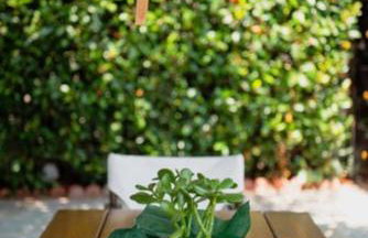 Villa Valentina - Foto 14