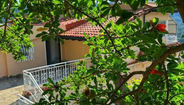 Villa Lollo - Photo 4