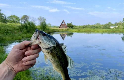 Enchanting A-Frames with Hot-Tub Wonderful for Hiking in Makanda, Illinois - Foto 39
