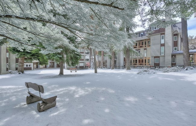 Comfort Tra Fiume E Pini - Foto 32