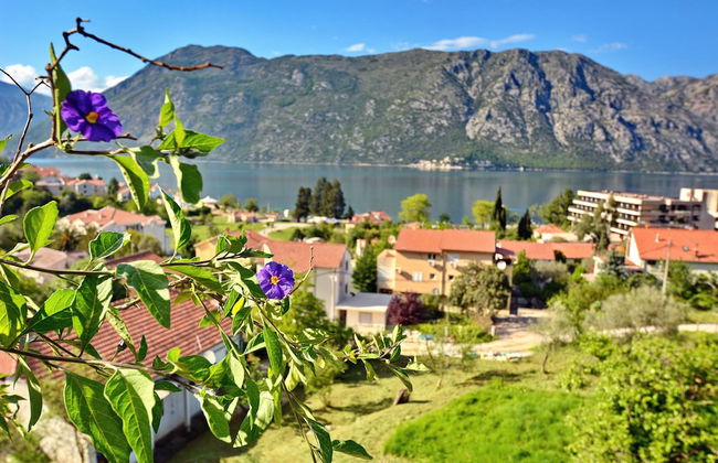 Apartments Soso - Foto 56