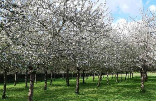 Ti Dour - Gîte de charme à la campagne - côte de granit rose - Foto 10