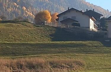 The Green Owl - Foto 17