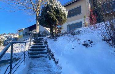 Lichtblick unter der Buche - Foto 16