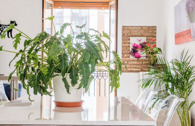 ATICO RUZAFA Centro Ciudad pet friendly - Foto 19