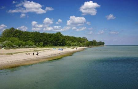 Fuchs und Elster - Foto 36