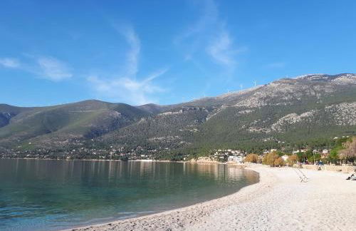 Where the Mountains meet the Sea - Foto 27