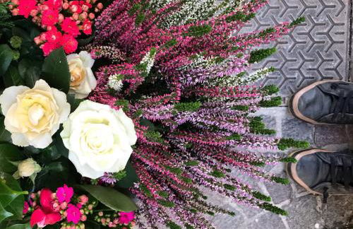 La Calade 1 bedroom Studio - Biot Village - Foto 26