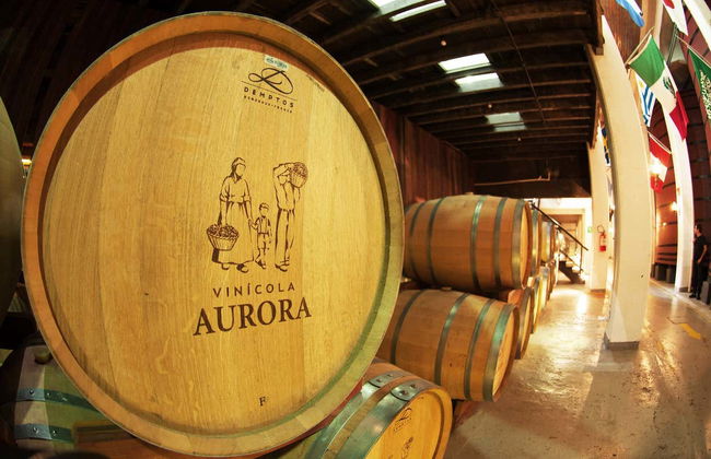 Tour delle cantine di Bento Gonçalves e Garibaldi - Foto 8