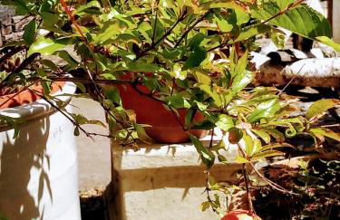 Oase der Geborgenheit - Foto 33