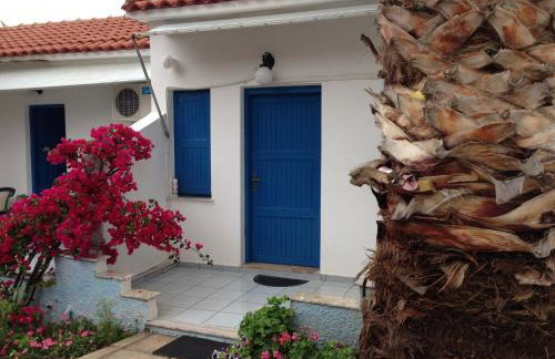 George Paradise - Foto 20