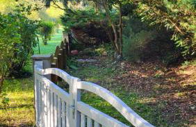 Finnhütte zwischen Wald und See - Foto 18