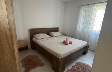 Apartman OZANA - Photo 11