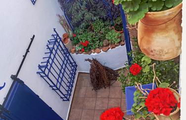 Apartamento Trasiego - Foto 9