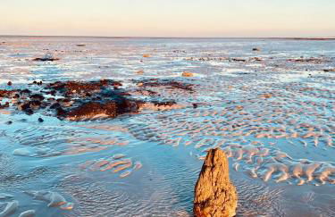 Manoir des Étangs - Foto 53