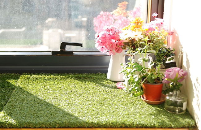 KPOP Coex Gangnam Stay - Foto 28