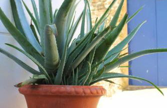 Casa La Abubilla by SIERRA VIVA - Foto 41