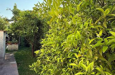 FONTANE BIANCHE 300MT fROM BEACH - Foto 10