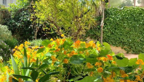 Les Papillons - Foto 1, Garden view