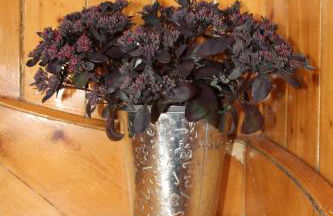 Ceol Na Mara Cottage by the sea - Foto 26