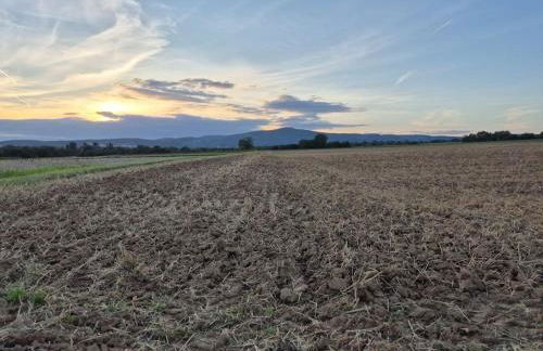 Bungalow, Uneinsehbar, 8 Personen maximal, 3 Personen oben, 5 unten - Foto 25