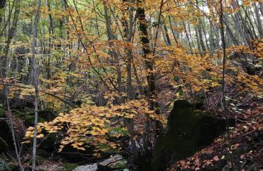 Agriturismo La Casina della Burraia - Foto 47