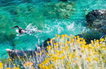 Appartamenti Scaglieri - Foto 2