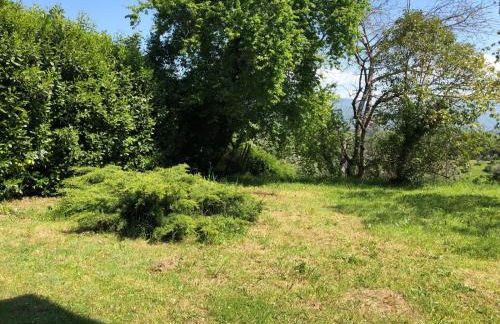 Il colle degli olivi - Foto 23