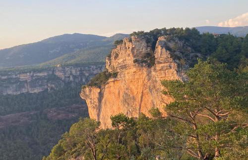 Mas del Salin - Foto 34