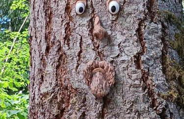 Tony's Riverside Oasis - Foto 36