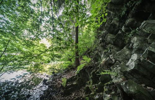 Apartment in Waldbreitbach mit Whirlpool by Interhome - Foto 24