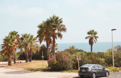 Casa Catalina Torrevieja, la Mata - Foto 14